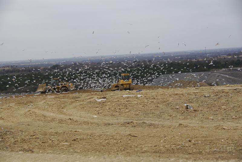 012409 Waco Landfill 009.jpg